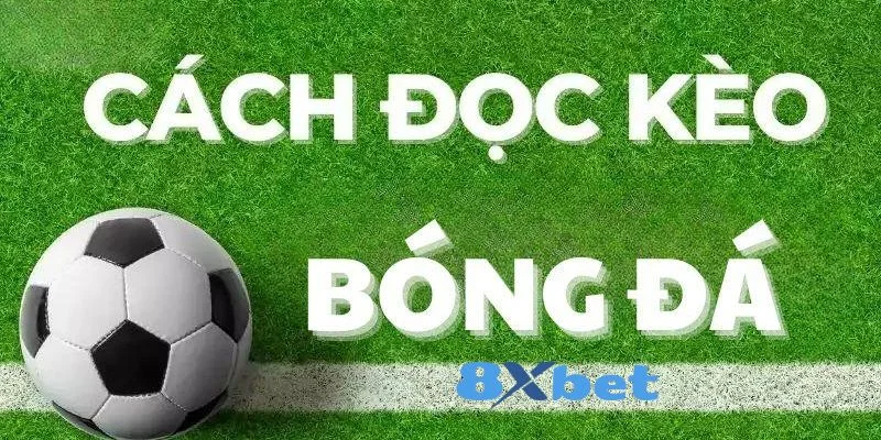 Cách Đọc Kèo Bóng Đá 8Xbet Siêu Dễ Và Chuẩn Xác Cho Tân Thủ 2 Kèo bóng đá 8Xbet đang được ưa chuộng hàng đầu hiện nay.