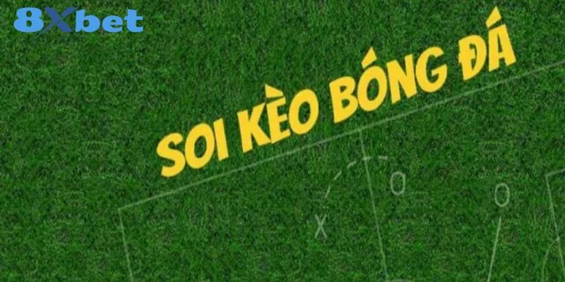 Cách Đọc Kèo Bóng Đá 8Xbet Siêu Dễ Và Chuẩn Xác Cho Tân Thủ 4 Bạn nên lưu ý thêm một số điểm để quá trình tham gia giải trí được trọn vẹn và hiệu quả hơn.