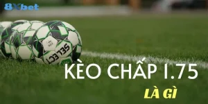 Kèo Chấp 1.75 Là Gì? Kỹ Thuật Bắt Kèo Chấp 1.75 Thắng Đậm